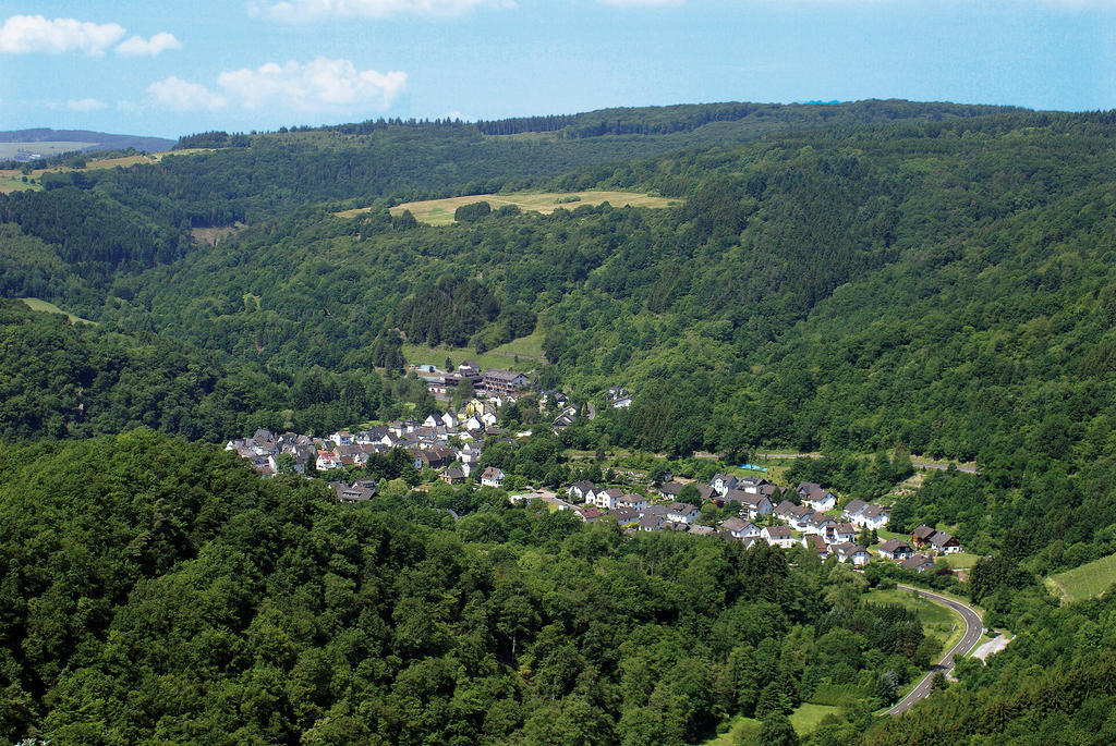 Landhotel Weinhaus Treis Weinähr Extérieur photo